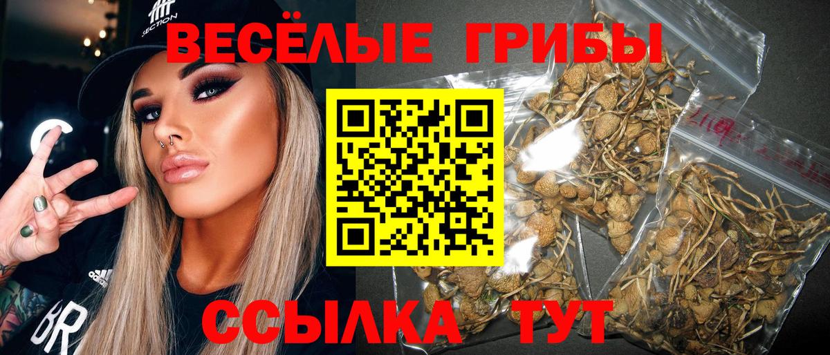 Ступино  Псилоцибиновые грибы мухоморы  Вход с VPN 